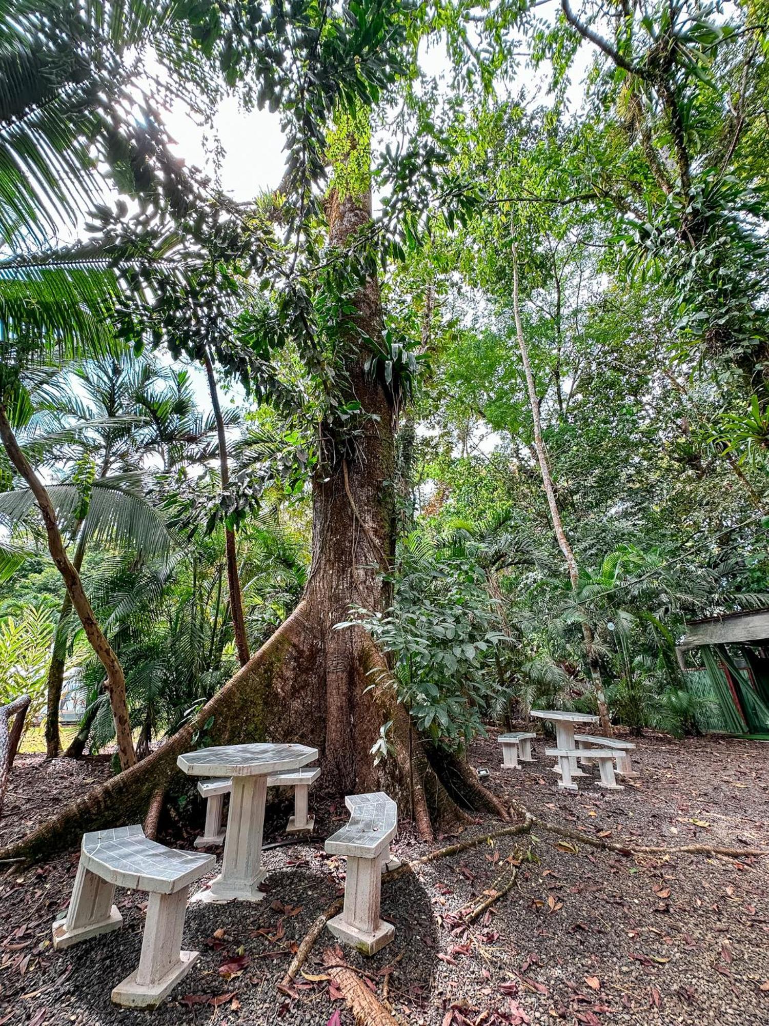 Cabanas Rio Escondido En La Fortuna 외부 사진