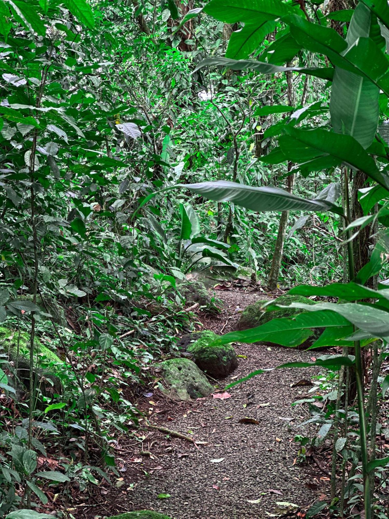 Cabanas Rio Escondido En La Fortuna 외부 사진