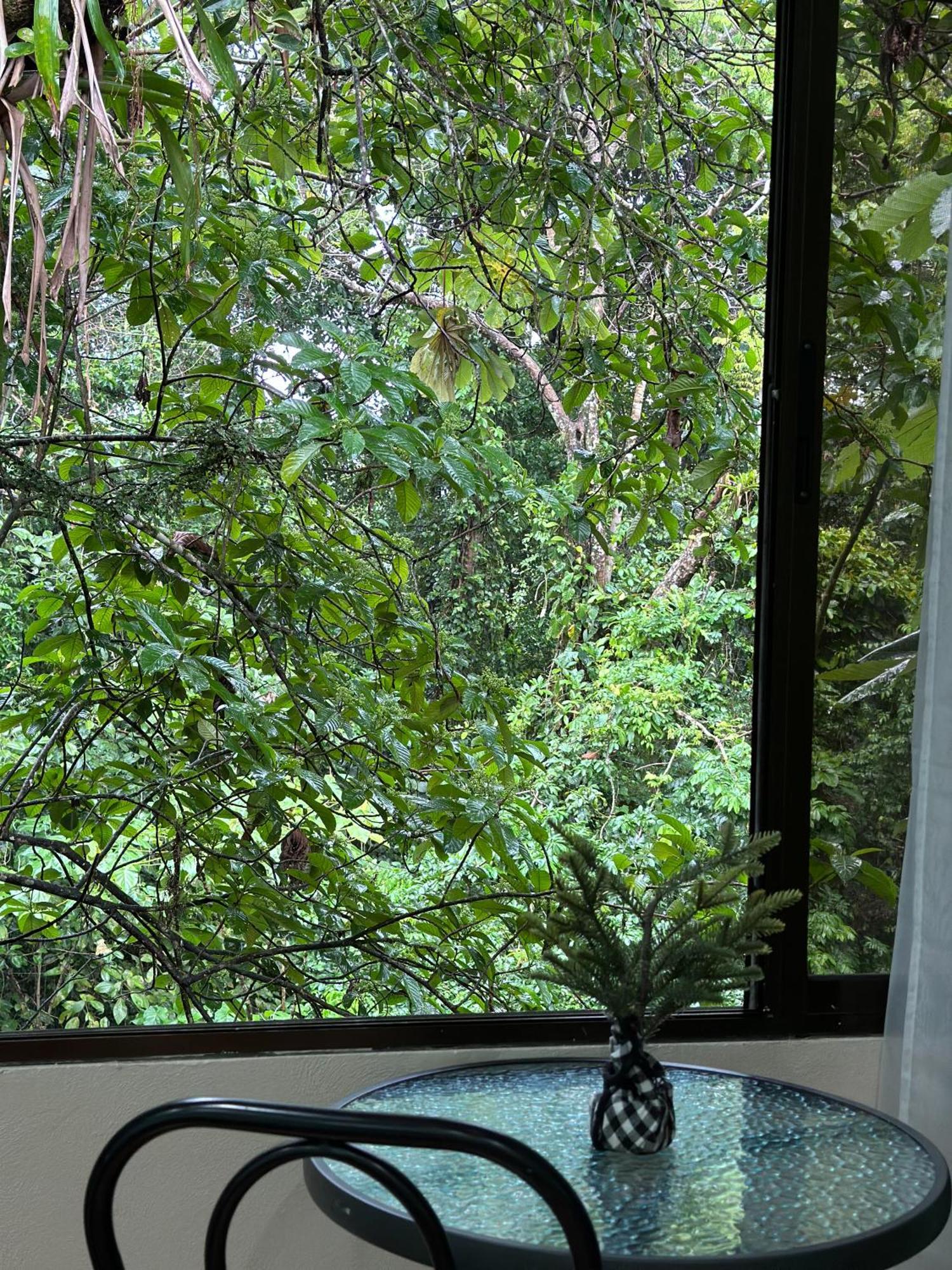 Cabanas Rio Escondido En La Fortuna 외부 사진